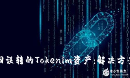 如何找回誤轉(zhuǎn)的Tokenim資產(chǎn)：解決方案與建議