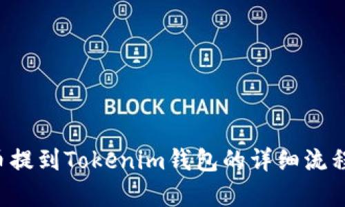 FIL幣提到Tokenim錢包的詳細(xì)流程分析