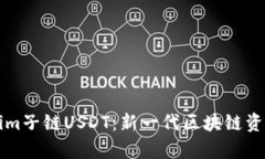 深入解析Tokenim子鏈USDT：新
