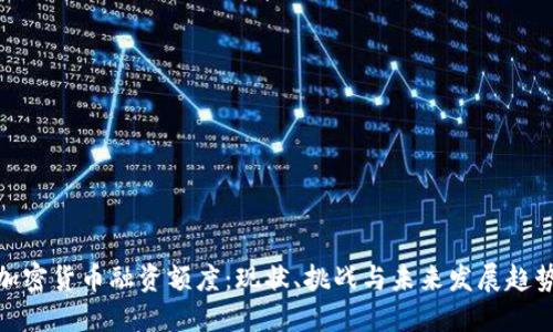 加密貨幣融資額度：現(xiàn)狀、挑戰(zhàn)與未來發(fā)展趨勢