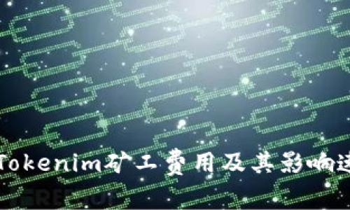 深入解析Tokenim礦工費用及其影響速度的因素