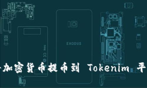 如何安全地將加密貨幣提幣到 Tokenim 平臺的詳細指南