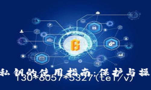 Tokenim私鑰的使用指南：保護與操作安全性
