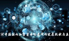 深入探討中國國內(nèi)加密貨