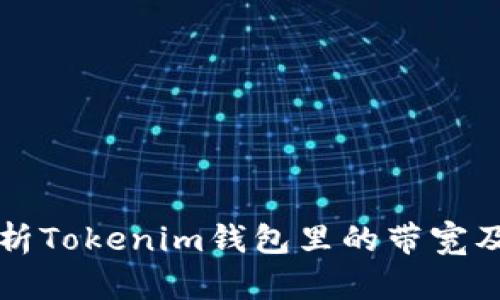 深入解析Tokenim錢包里的帶寬及其功能