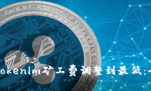 如何將Tokenim礦工費(fèi)調(diào)整到最低：全面指南