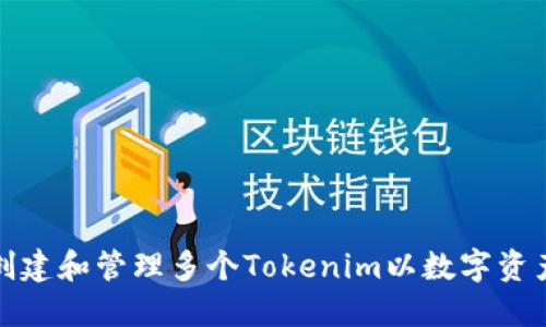 如何創(chuàng)建和管理多個Tokenim以數(shù)字資產投資