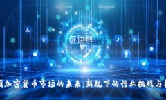 美國(guó)加密貨幣市場(chǎng)的未來