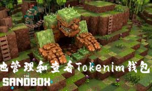 如何安全地管理和查看Tokenim錢包賬戶余額？