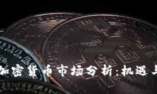 北美加密貨幣市場(chǎng)分析：機(jī)遇與挑戰(zhàn)