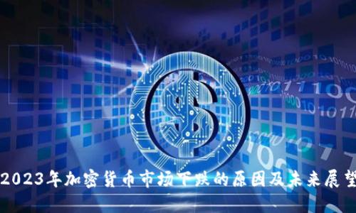 2023年加密貨幣市場(chǎng)下跌的原因及未來(lái)展望