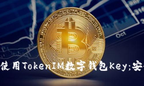 ziaoti如何高效使用TokenIM數(shù)字錢包Key：安全性與操作指南