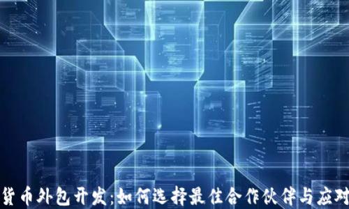 
加密貨幣外包開(kāi)發(fā)：如何選擇最佳合作伙伴與應(yīng)對(duì)挑戰(zhàn)