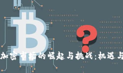 印度貨幣加密市場的崛起與挑戰(zhàn)：機(jī)遇與風(fēng)險并存