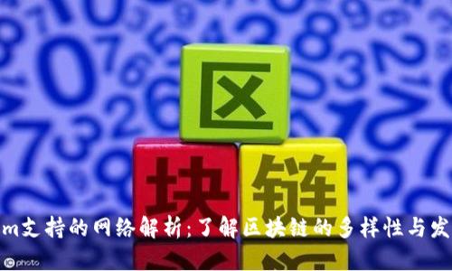 Tokenim支持的網(wǎng)絡(luò)解析：了解區(qū)塊鏈的多樣性與發(fā)展機(jī)會