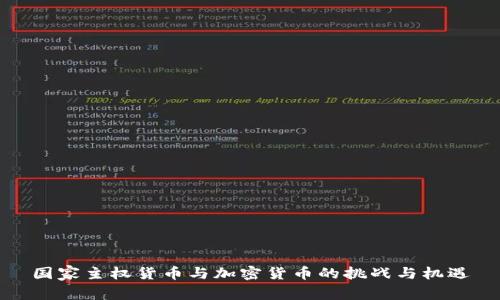 國家主權(quán)貨幣與加密貨幣的挑戰(zhàn)與機遇