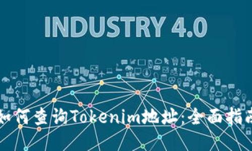 如何查詢Tokenim地址：全面指南
