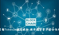 深入了解Tokenim域名授權(quán)：