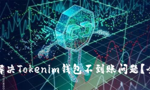 : 如何解決Tokenim錢包不到賬問題？全面指南
