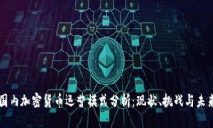 國內(nèi)加密貨幣運(yùn)營模式分