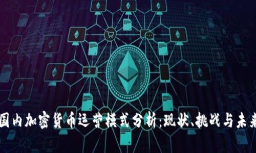 國(guó)內(nèi)加密貨幣運(yùn)營(yíng)模式分析：現(xiàn)狀、挑戰(zhàn)與未來(lái)