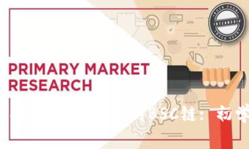 如何在Tokenim中切換到BSC鏈: 初學(xué)者指南