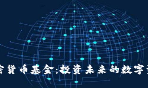 新寵加密貨幣基金：投資未來(lái)的數(shù)字資產(chǎn)之路