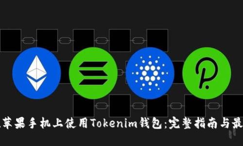 如何在蘋果手機上使用Tokenim錢包：完整指南與最佳實踐