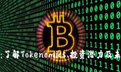 XNN幣：了解Tokenomics、投資潛力及未來發(fā)展