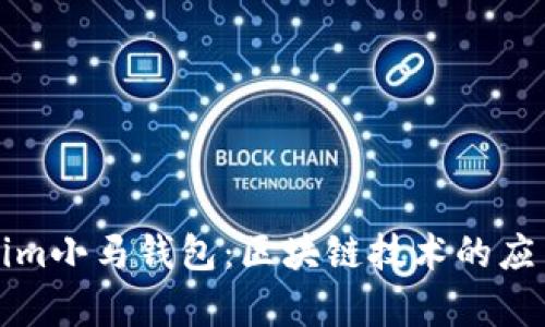 全面解析fir.im小馬錢(qián)包：區(qū)塊鏈技術(shù)的應(yīng)用與未來(lái)展望
