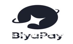 貝寶加密貨幣計劃：數(shù)字