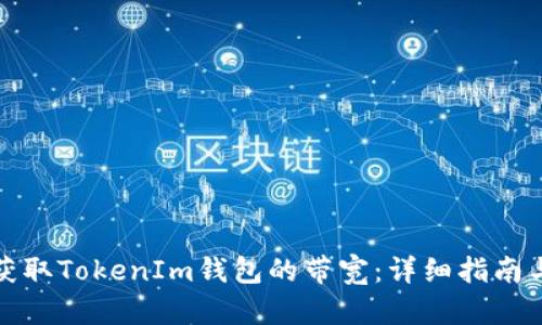 如何獲取TokenIm錢(qián)包的帶寬：詳細(xì)指南與技巧