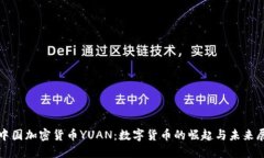 : 中國加密貨幣YUAN：數字