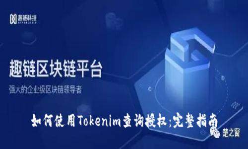 如何使用Tokenim查詢授權(quán)：完整指南