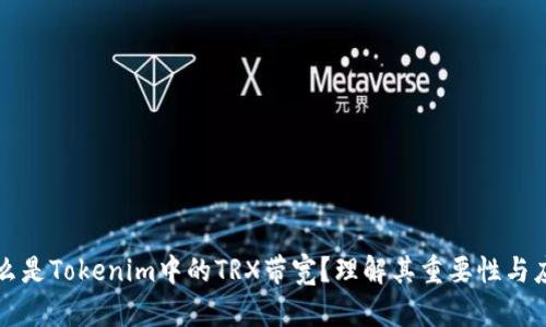 什么是Tokenim中的TRX帶寬？理解其重要性與應(yīng)用