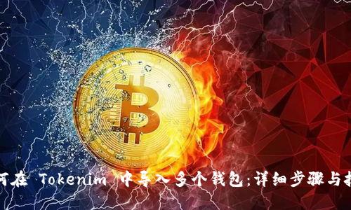 如何在 Tokenim 中導(dǎo)入多個錢包：詳細步驟與技巧