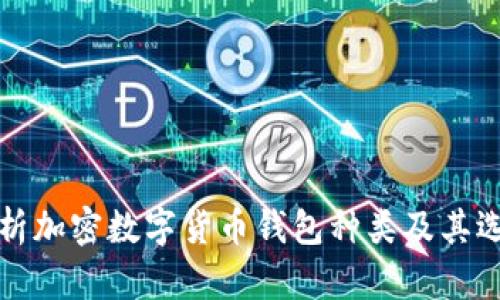 全面解析加密數(shù)字貨幣錢(qián)包種類及其選擇指南