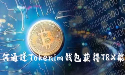 如何通過(guò)Tokenim錢(qián)包獲得TRX能量