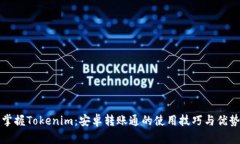 掌握Tokenim：安卓轉(zhuǎn)賬通的