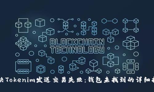 解決Tokenim發(fā)送交易失?。哄X包未找到的詳細指南