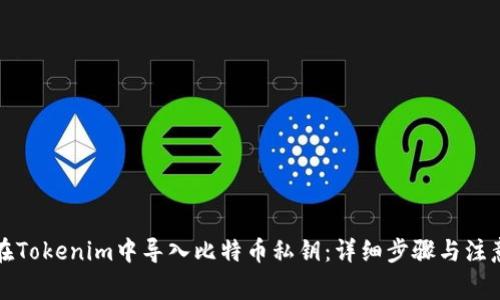 如何在Tokenim中導(dǎo)入比特幣私鑰：詳細(xì)步驟與注意事項(xiàng)
