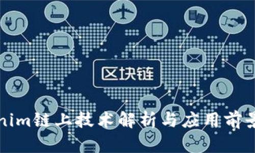 Tokenim鏈上技術(shù)解析與應(yīng)用前景展望