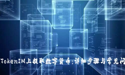 如何在TokenIM上提取數(shù)字貨幣：詳細(xì)步驟與常見(jiàn)問(wèn)題解析