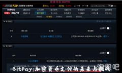 BitPay：加密貨幣支付的未