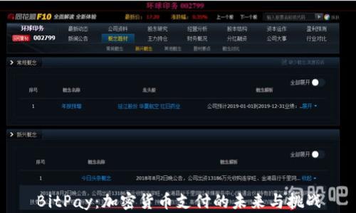 
BitPay：加密貨幣支付的未來(lái)與挑戰(zhàn)