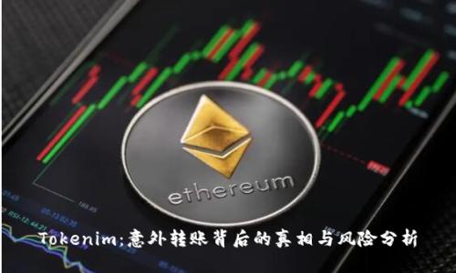 Tokenim：意外轉(zhuǎn)賬背后的真相與風(fēng)險(xiǎn)分析