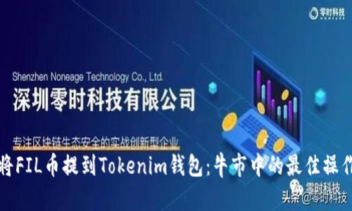 如何將FIL幣提到Tokenim錢包：牛市中的最佳操作指南