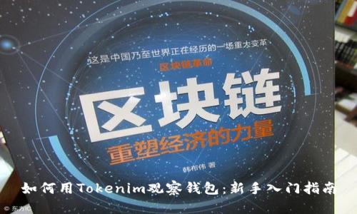 如何用Tokenim觀察錢(qián)包：新手入門(mén)指南