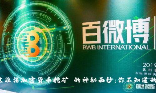 揭開 北京非法加密貨幣挖礦 的神秘面紗：你不知道的背后故事