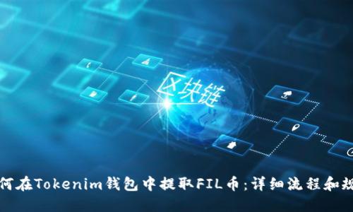 如何在Tokenim錢包中提取FIL幣：詳細(xì)流程和規(guī)則